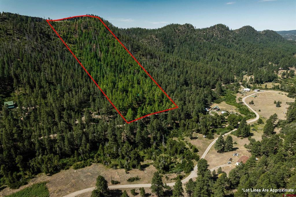 2215 Bear Creek Canyon Road Property Photo 1