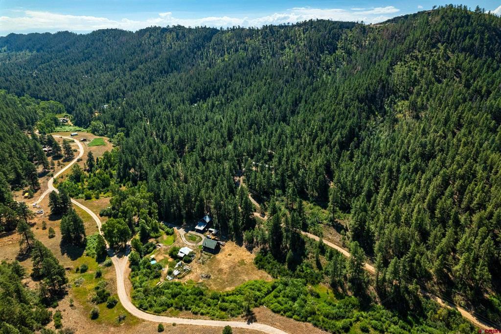 2215 Bear Creek Canyon Road Property Photo 3