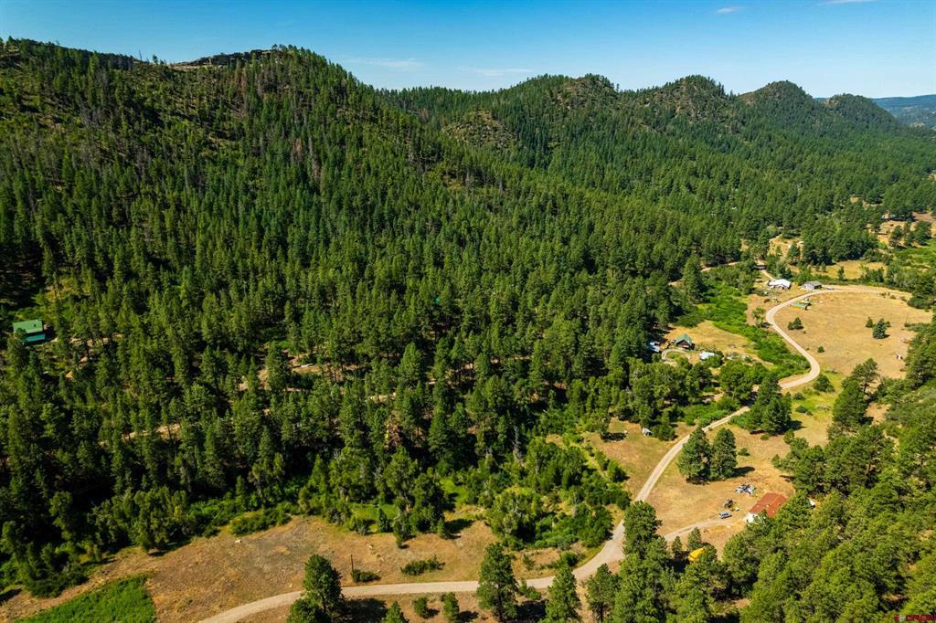 2215 Bear Creek Canyon Road Property Photo 4