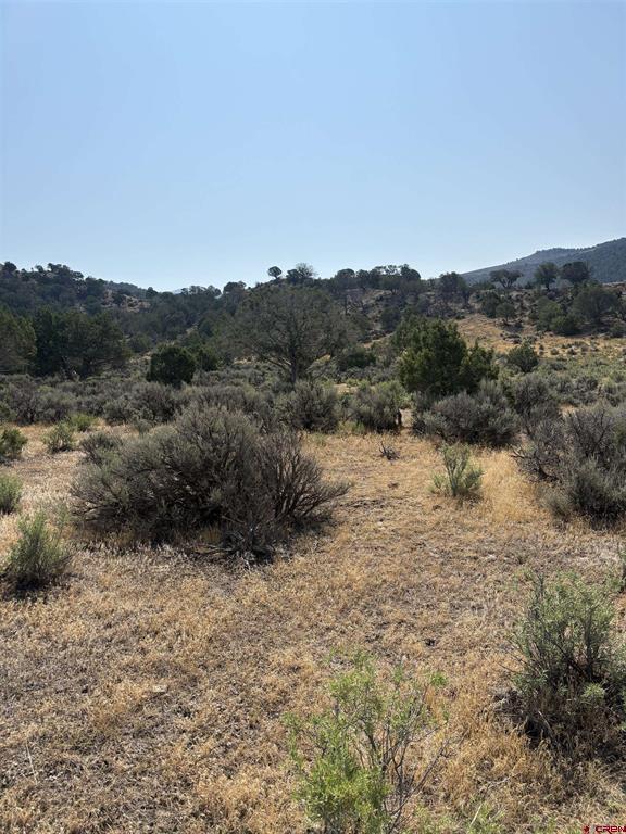 Tbd Lot 23 7250 Road Property Photo 6