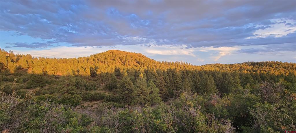 Lot 8 Beaver Creek Ranch Dr Property Photo 3