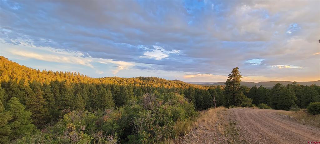 Lot 8 Beaver Creek Ranch Dr Property Photo 4