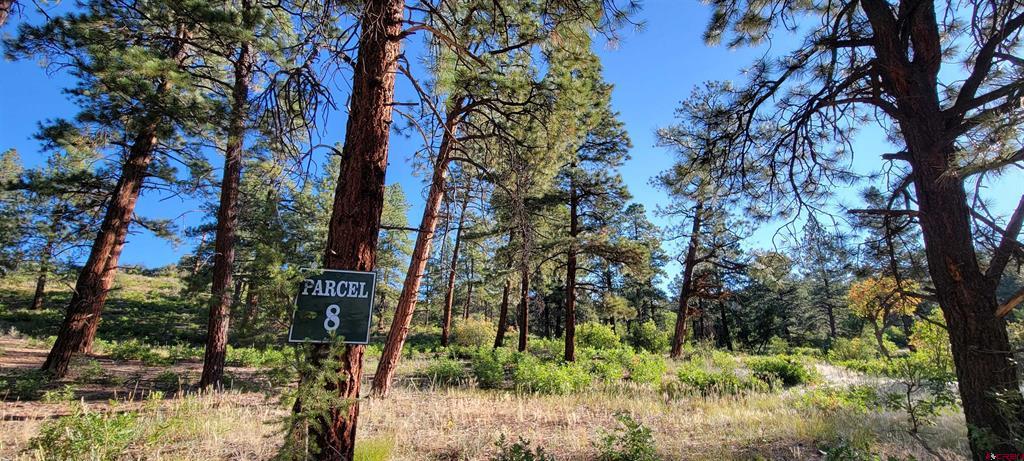 Lot 8 Beaver Creek Ranch Dr Property Photo 5