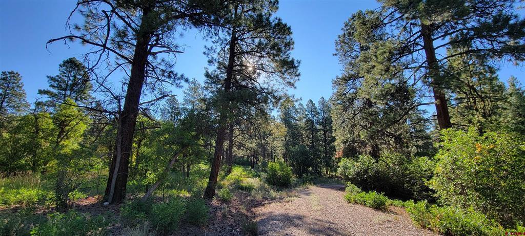 Lot 8 Beaver Creek Ranch Dr Property Photo 6