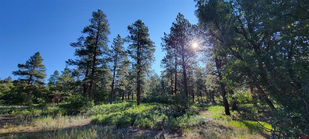 Lot 8 Beaver Creek Ranch Dr Property Photo 7