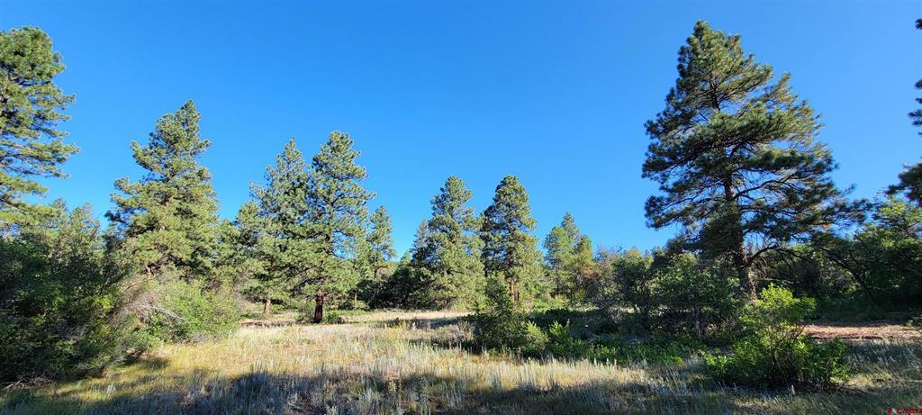 Lot 8 Beaver Creek Ranch Dr Property Photo 8