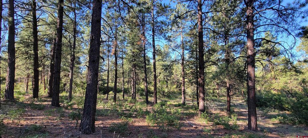 Lot 8 Beaver Creek Ranch Dr Property Photo 9