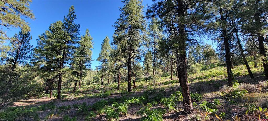 Lot 8 Beaver Creek Ranch Dr Property Photo 10
