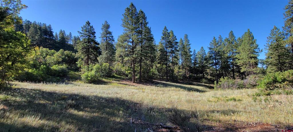 Lot 8 Beaver Creek Ranch Dr Property Photo 11