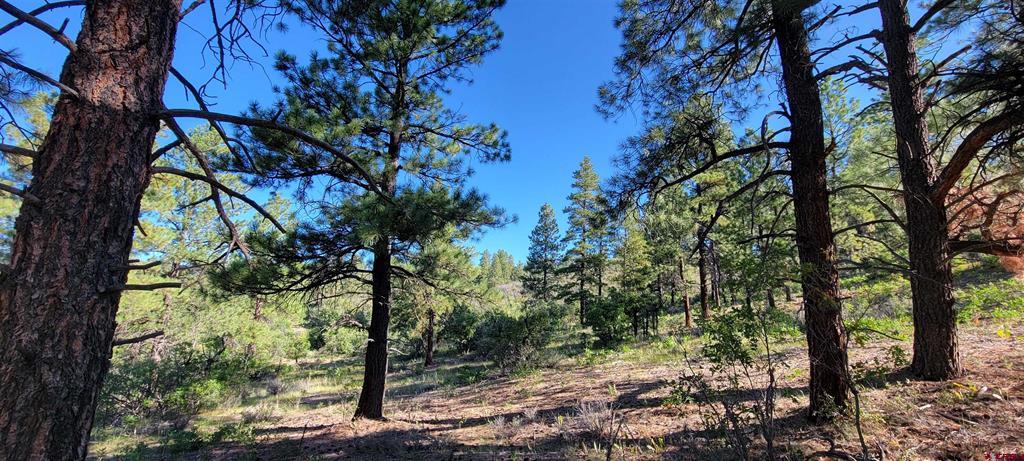 Lot 8 Beaver Creek Ranch Dr Property Photo 13