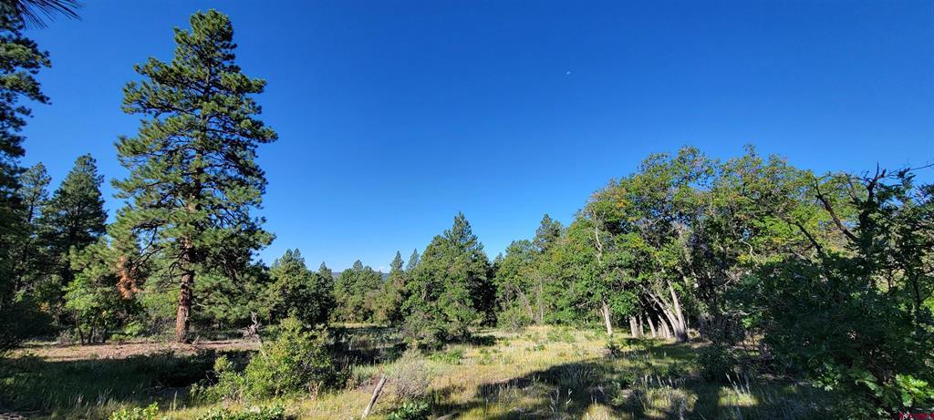 Lot 8 Beaver Creek Ranch Dr Property Photo 14