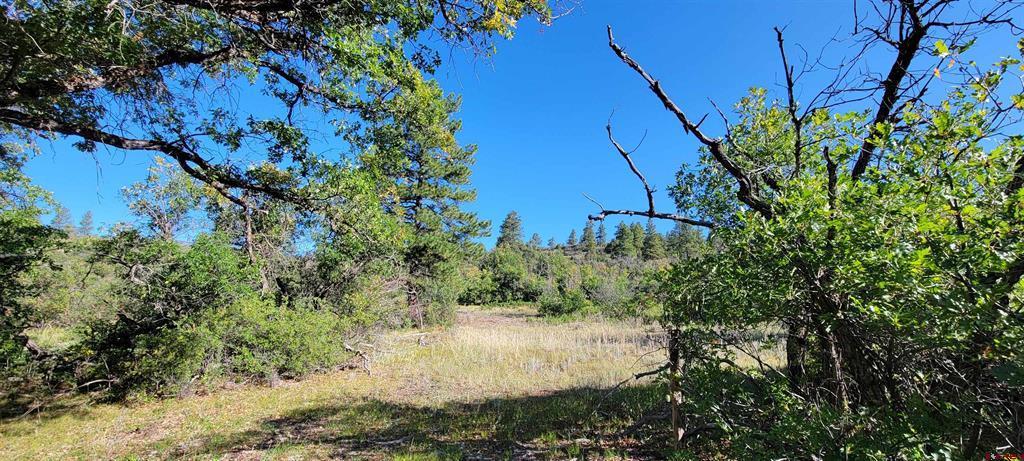 Lot 8 Beaver Creek Ranch Dr Property Photo 15