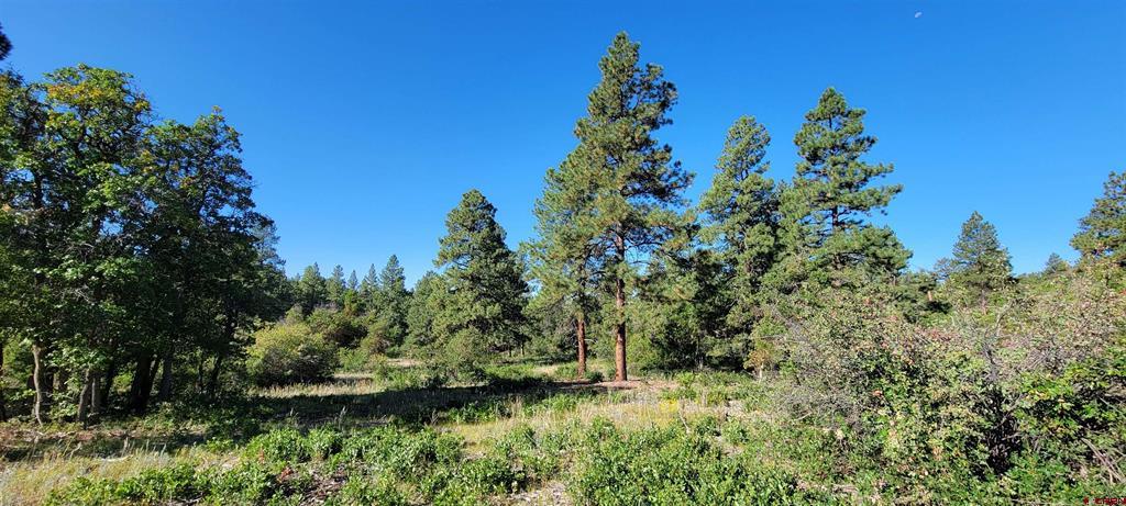 Lot 8 Beaver Creek Ranch Dr Property Photo 16