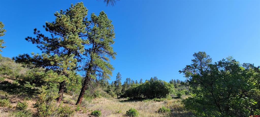 Lot 8 Beaver Creek Ranch Dr Property Photo 17