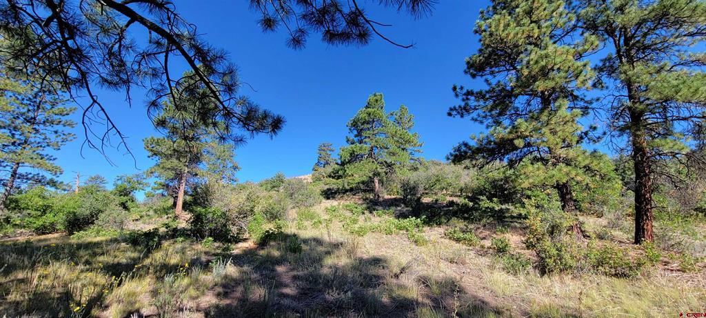 Lot 8 Beaver Creek Ranch Dr Property Photo 18
