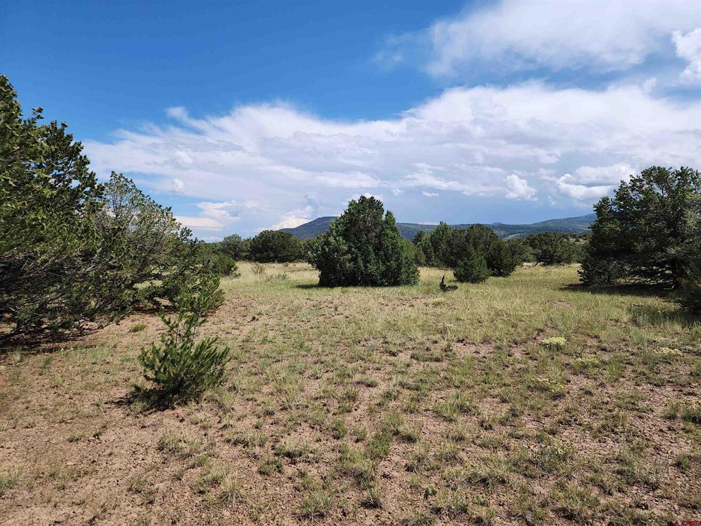 0 Loveland Road Property Photo 1