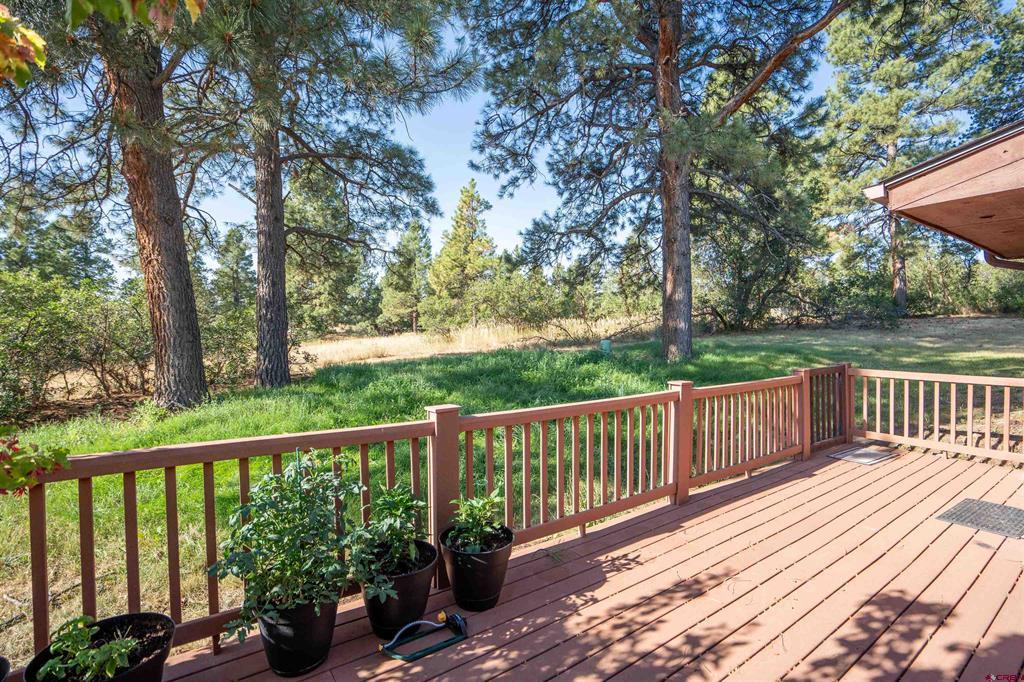 222 Pine Ridge Loop Property Photo 18
