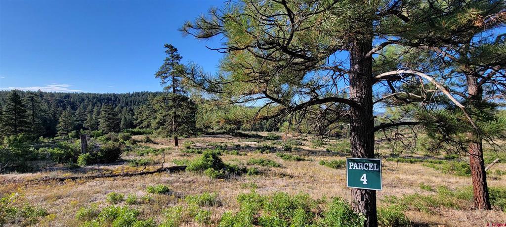 Lots 4 And 5 Beaver Creek Ranch Dr Property Photo 4