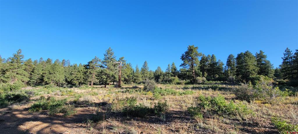 Lots 4 And 5 Beaver Creek Ranch Dr Property Photo 5