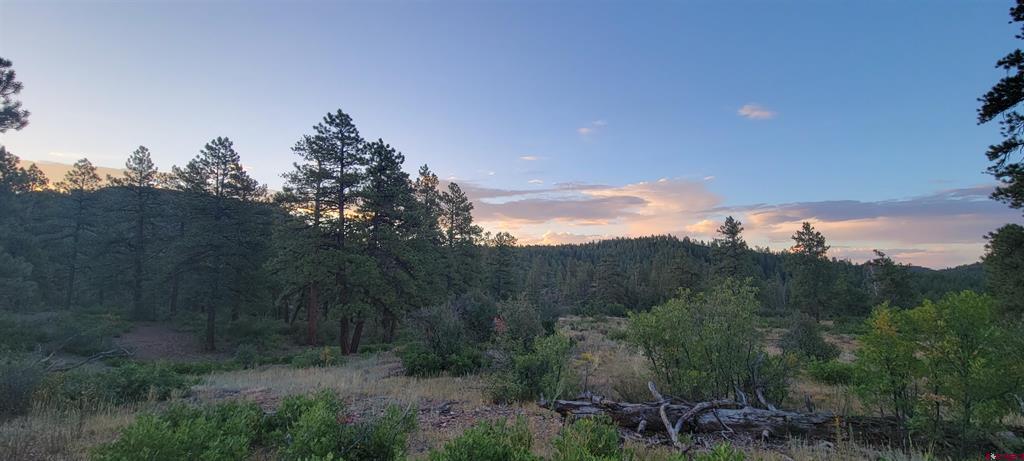 Lots 4 And 5 Beaver Creek Ranch Dr Property Photo 8