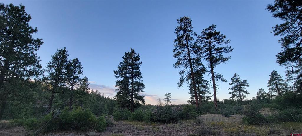 Lots 4 And 5 Beaver Creek Ranch Dr Property Photo 10