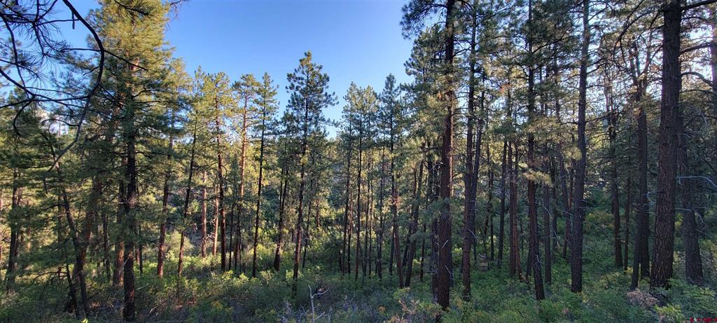 Lots 4 And 5 Beaver Creek Ranch Dr Property Photo 19