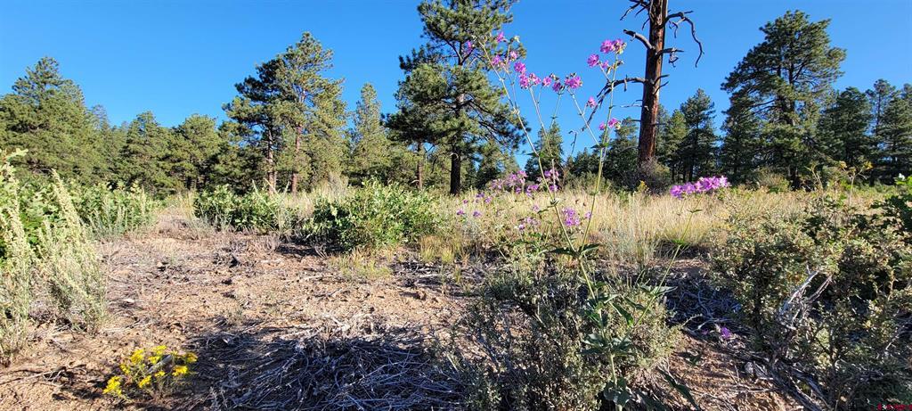 Lots 4 And 5 Beaver Creek Ranch Dr Property Photo 25