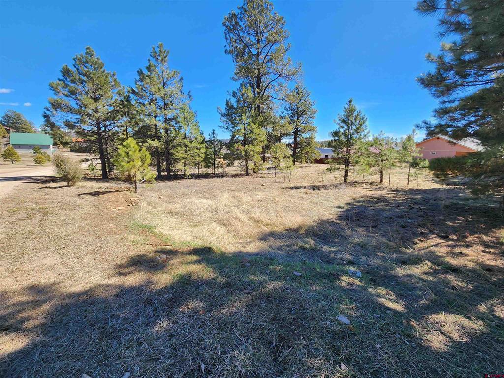 1059 Hills Circle Property Photo 1
