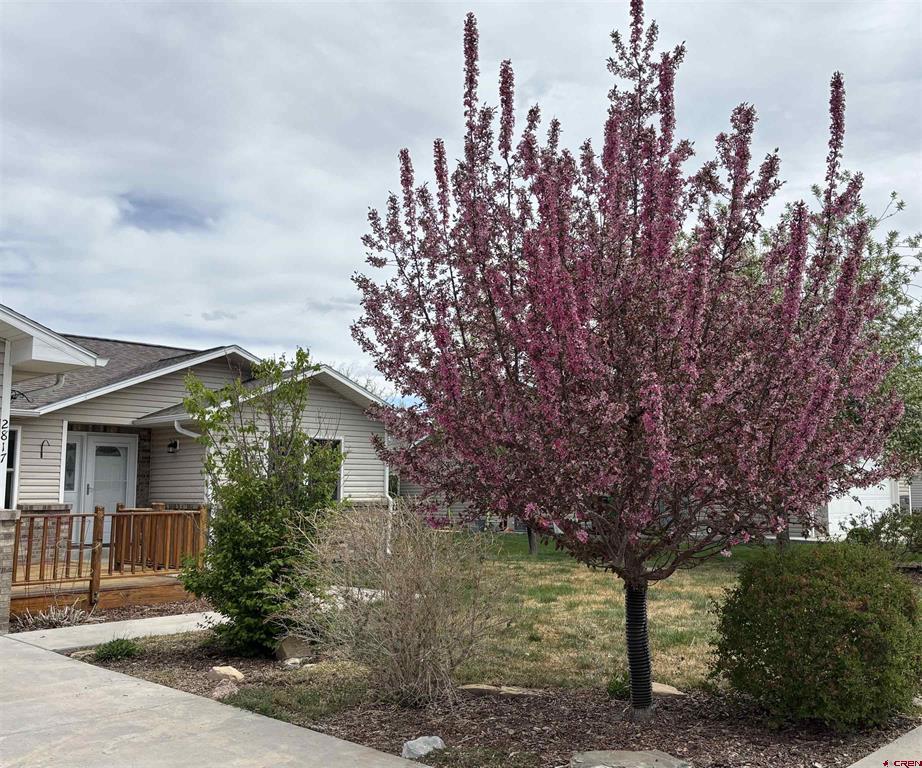 2817 Glen Oak Drive Property Photo 8