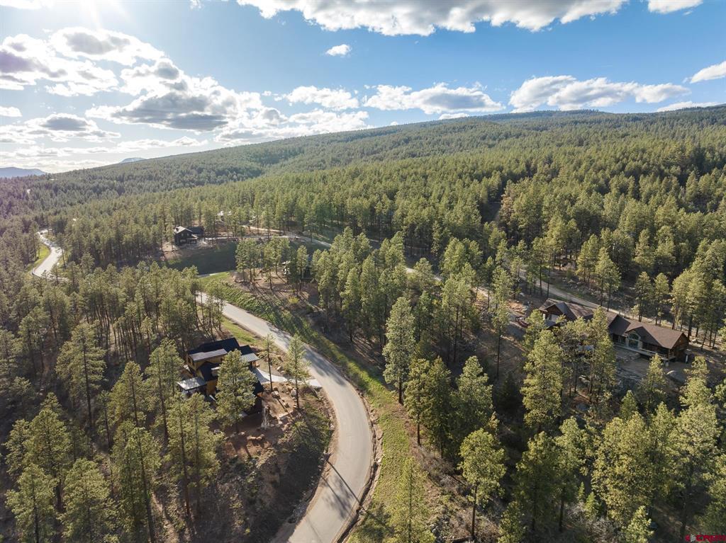 102 Red Canyon Court Property Photo 5