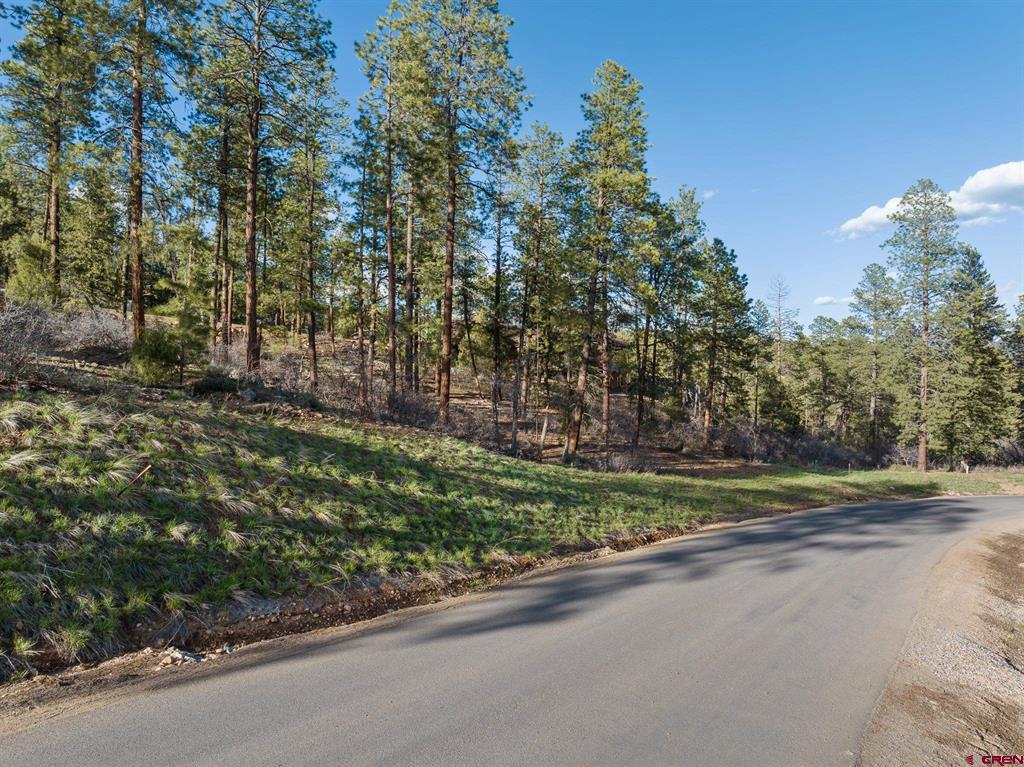 102 Red Canyon Court Property Photo 7