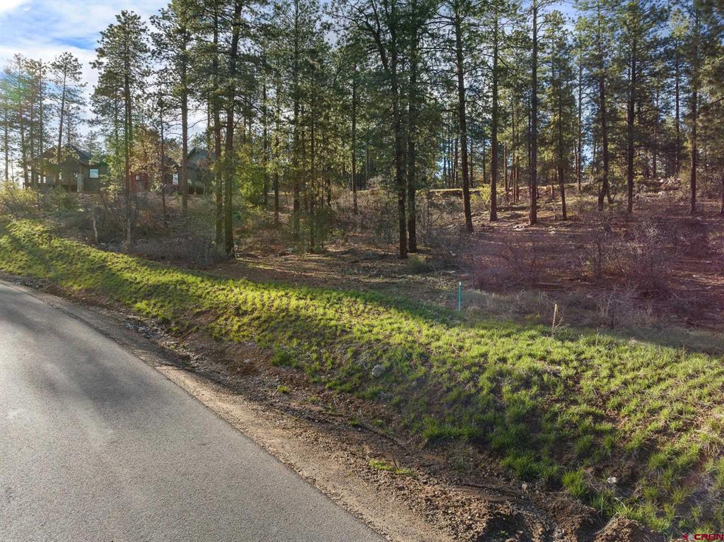 102 Red Canyon Court Property Photo 8