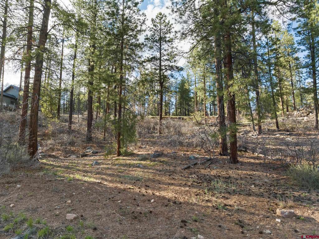 102 Red Canyon Court Property Photo 9