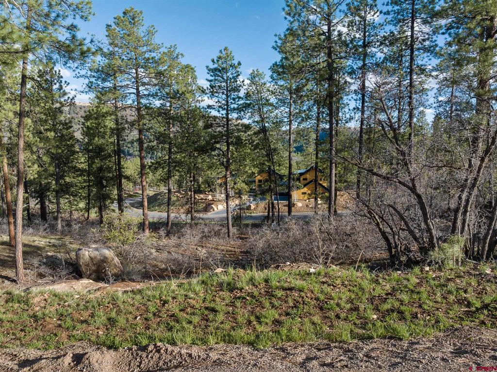 102 Red Canyon Court Property Photo 10