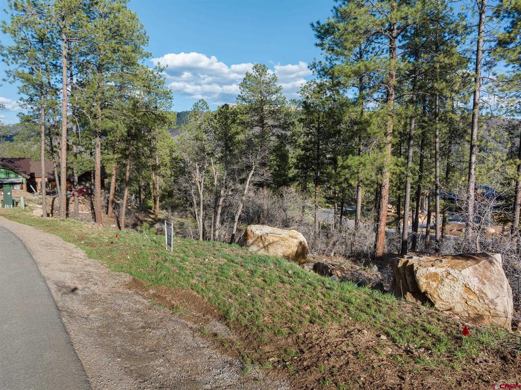 102 Red Canyon Court Property Photo 11