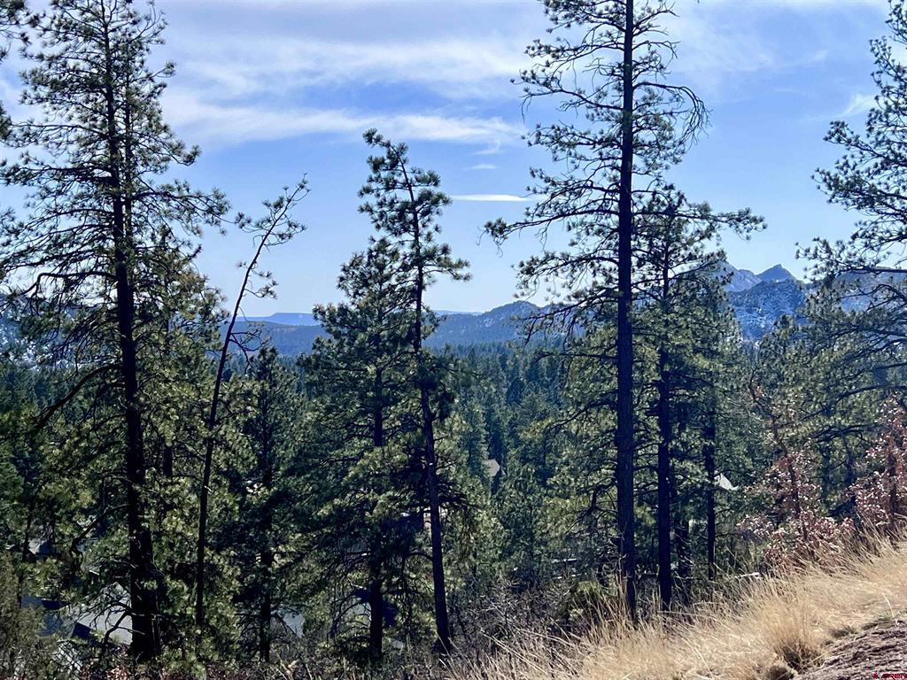 767 Red Canyon Trail Property Photo 1