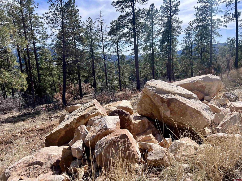 767 Red Canyon Trail Property Photo 4