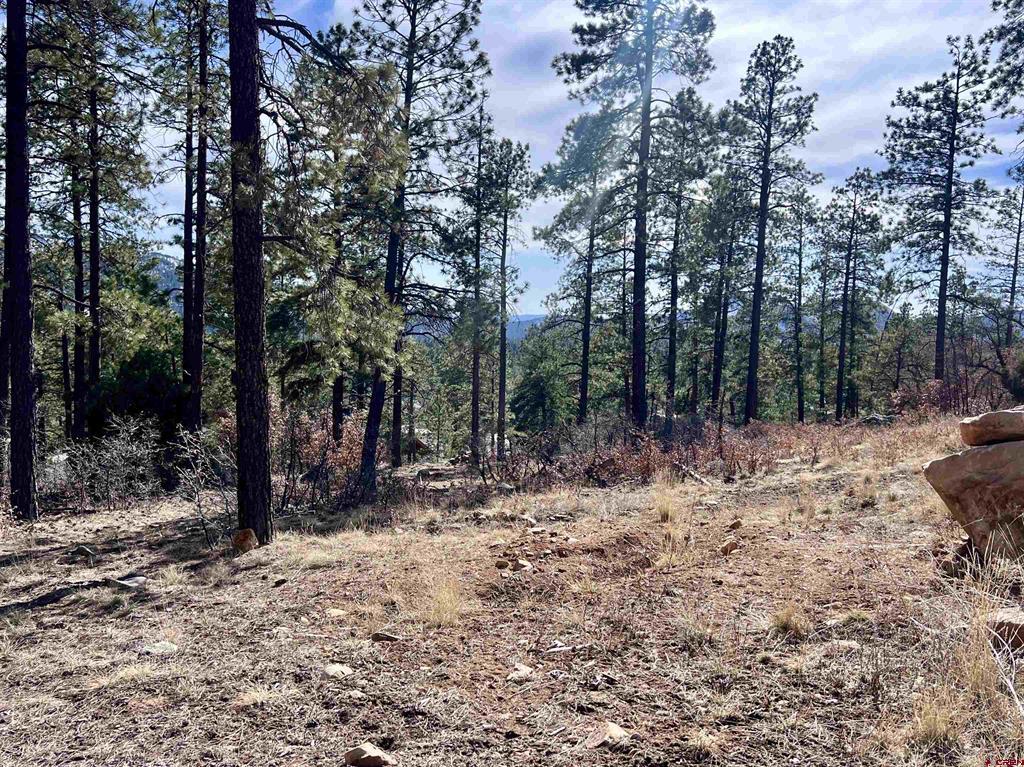 767 Red Canyon Trail Property Photo 5