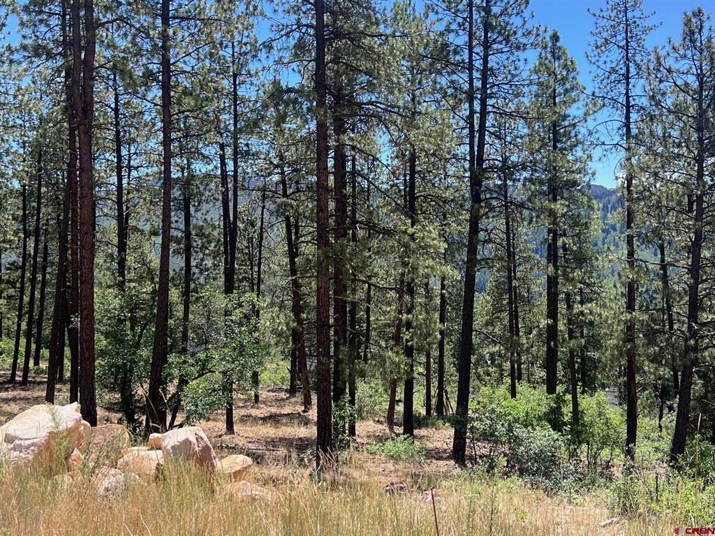 767 Red Canyon Trail Property Photo 6