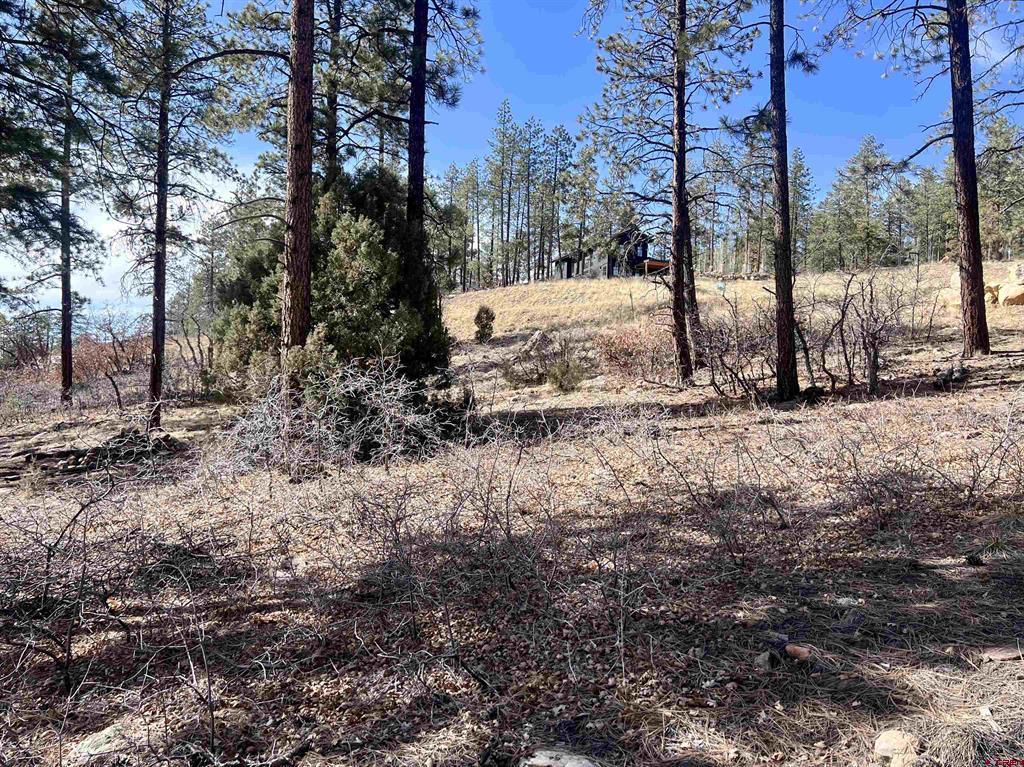 767 Red Canyon Trail Property Photo 7