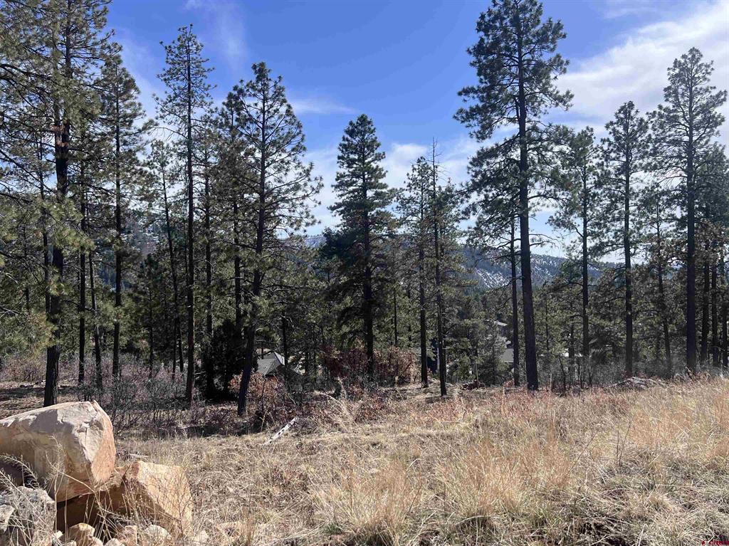 767 Red Canyon Trail Property Photo 8