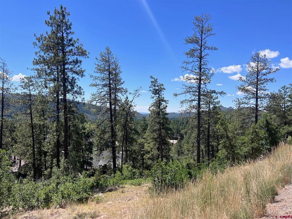 767 Red Canyon Trail Property Photo 15