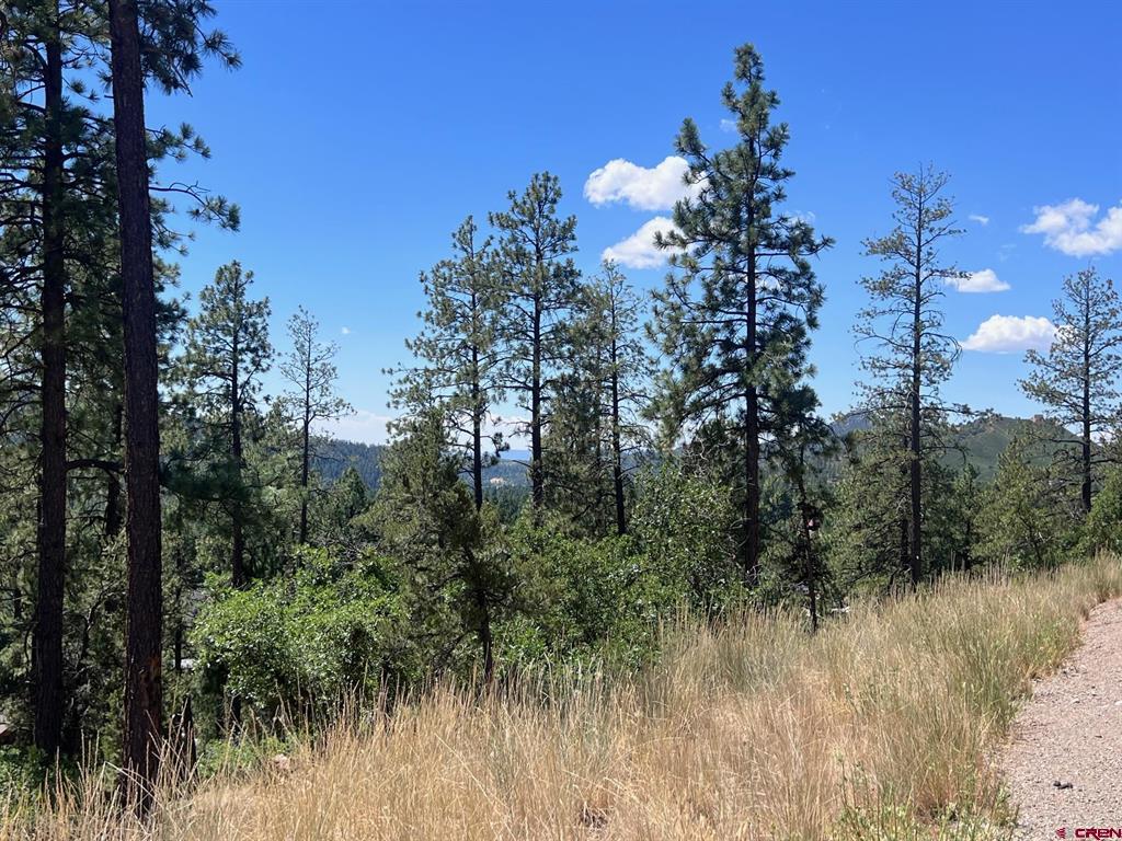 767 Red Canyon Trail Property Photo 16