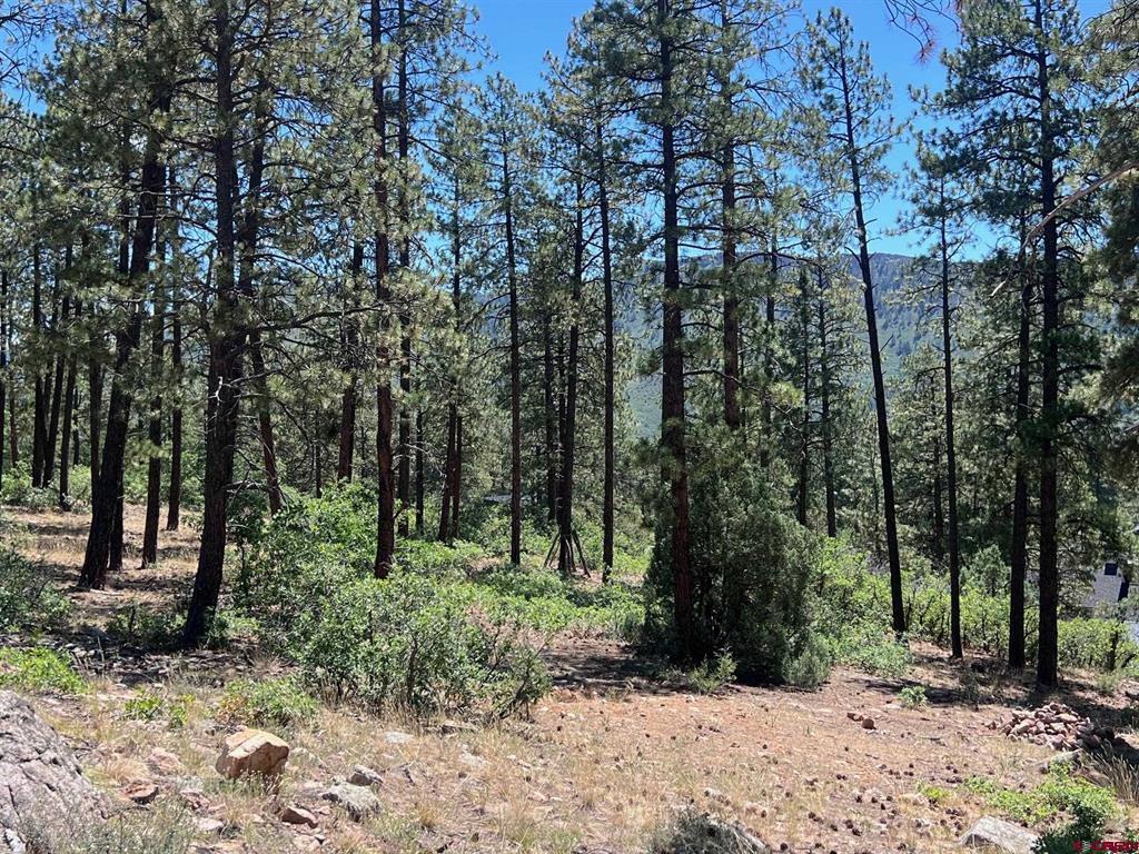767 Red Canyon Trail Property Photo 17