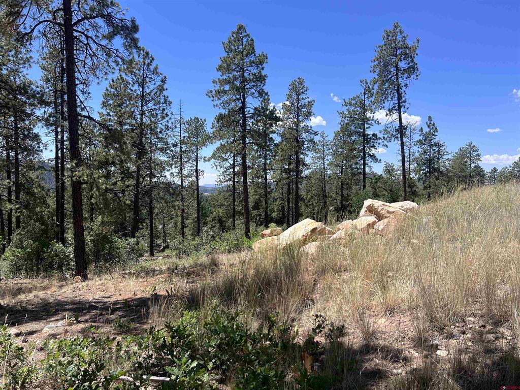 767 Red Canyon Trail Property Photo 18