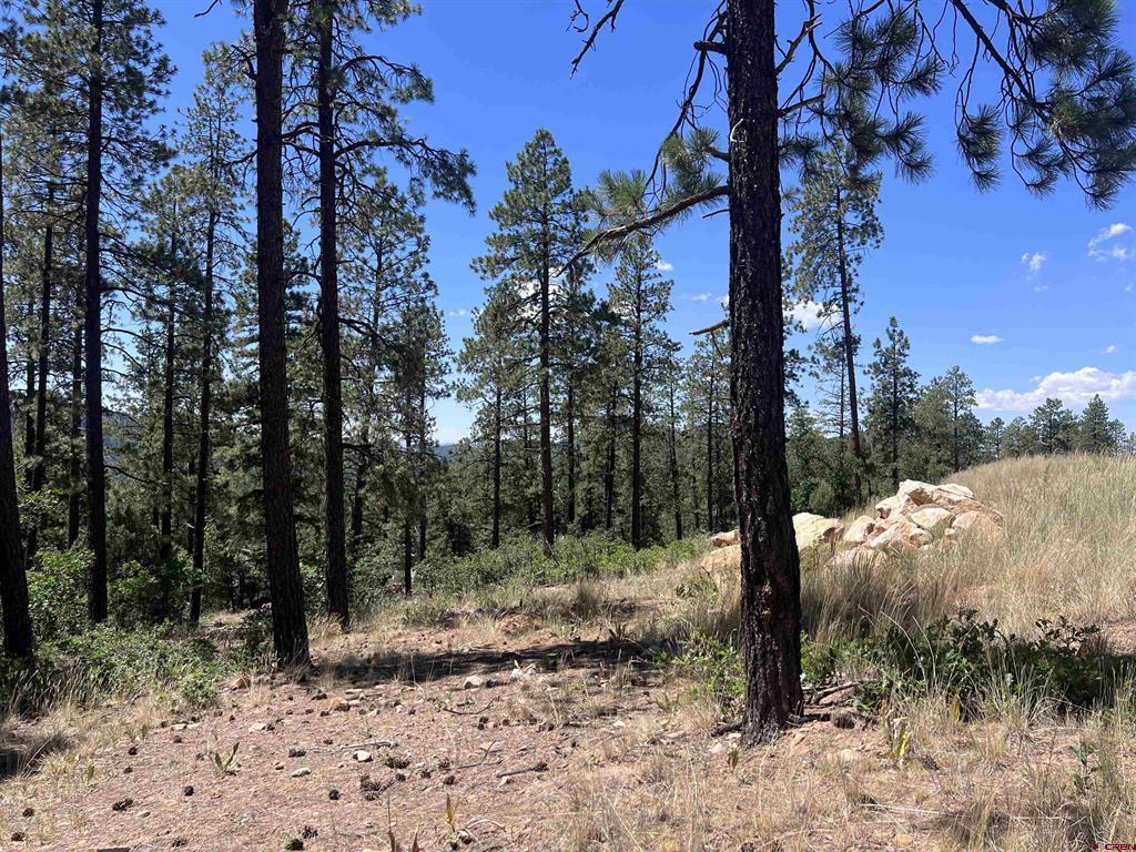 767 Red Canyon Trail Property Photo 19