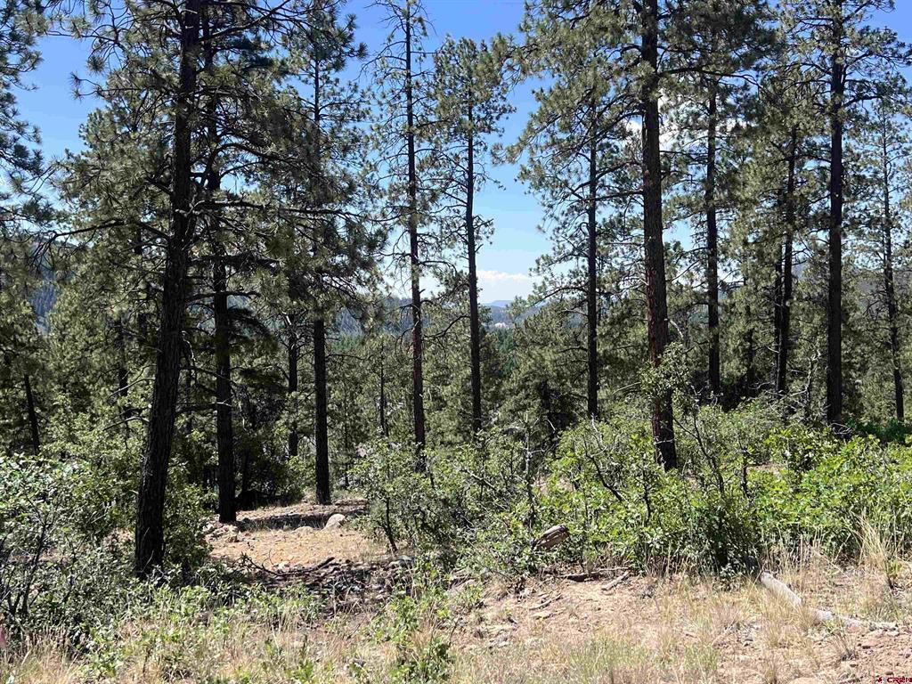 767 Red Canyon Trail Property Photo 20