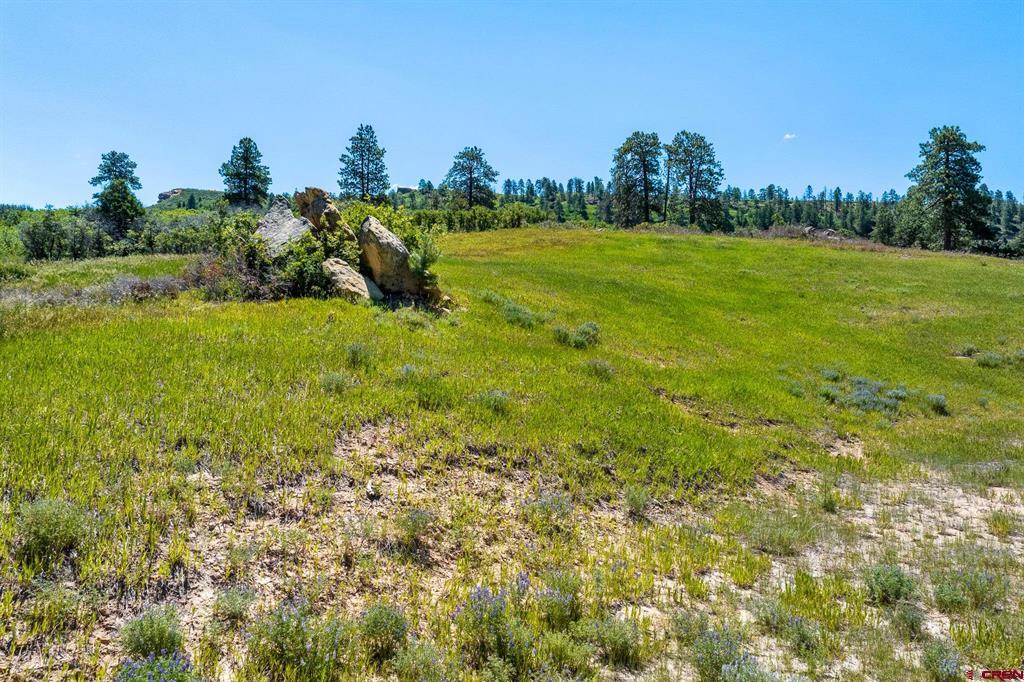 8350 Road 46 Property Photo 6