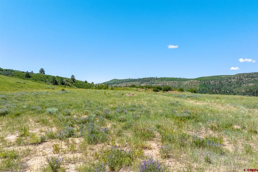 8350 Road 46 Property Photo 8