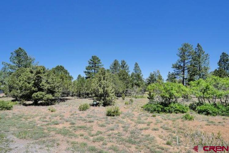 1640 Marmot Dr Property Photo 29